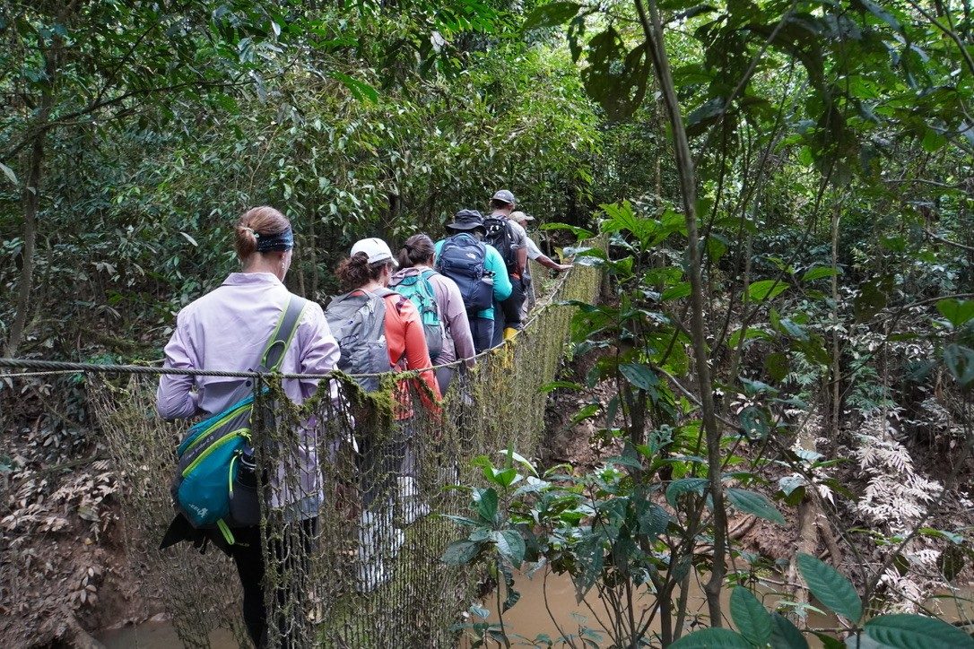 Tiputini Rope Bridge in Ecuador