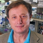 Robert Gourdie