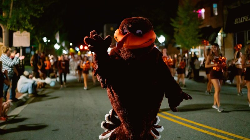 HokieBird