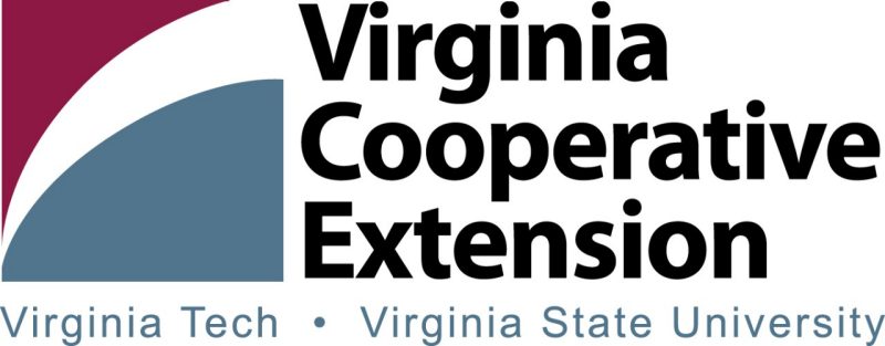 VCE logo and link