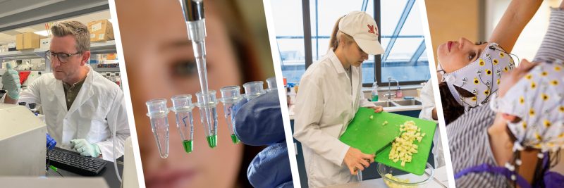 A professor working at a lab bench.